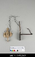 藏品(中國閩西客家懸絲傀儡戲-鳥)的圖片